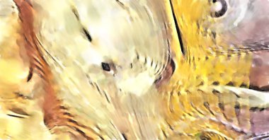 Modern sanat. Renkli çağdaş sanat eserleri. Renkli boya darbeleri. Soyut arkaplanda fırça darbeleri. fırça boyası.