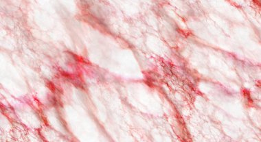 Renk damarlı beyaz mermer dokular. Zemin seramik tezgâh dokusu taş levha pürüzsüz fayans için zarif duvar yüzeyi çizimi.