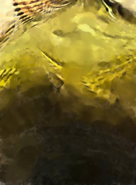 Modern sanat. Renkli çağdaş sanat eserleri. Renkli boya darbeleri. Soyut arkaplanda fırça darbeleri. fırça boyası.