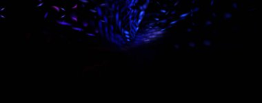 Işık parçacık izleri. Parlayan parçacıkları ve çizgileri olan ışık patlaması yıldızı. Güzel hareketli soyut ışın arkaplanı.