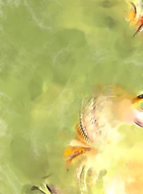 Soyut arkaplanda pürüzlü fırça darbeleri. Fırça boyası. Renkli boya darbeleri. Eşsiz duvar sanatı. Tuvaldeki modern sanat. Renkli çağdaş sanat eserleri. 