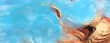 Modern sanat. Renkli çağdaş sanat eserleri. Renkli boya darbeleri. Soyut arkaplanda fırça darbeleri. fırça boyası.