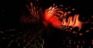 Işık parçacık izleri. Parlayan parçacıkları ve çizgileri olan ışık patlaması yıldızı. Güzel hareketli soyut ışın arkaplanı.