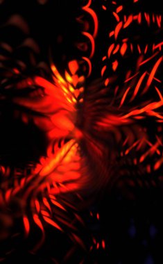 Işık parçacık izleri. Parlayan parçacıkları ve çizgileri olan ışık patlaması yıldızı. Güzel hareketli soyut ışın arkaplanı.