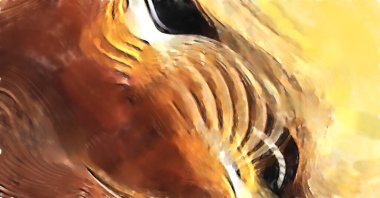 Modern sanat. Renkli çağdaş sanat eserleri. Renkli boya darbeleri. Soyut arkaplanda fırça darbeleri. fırça boyası.