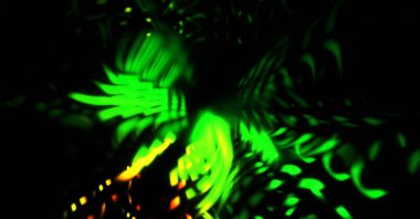 Işık parçacık izleri. Parlayan parçacıkları ve çizgileri olan ışık patlaması yıldızı. Güzel hareketli soyut ışın arkaplanı.