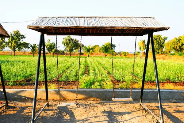 Agricultura Fazenda Kutch Gujarat Índia Manhã Fazenda — Fotografia de Stock