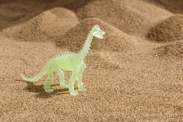 砂の丘の夕日の中でプラスチックから恐竜の骨格 — ストック写真