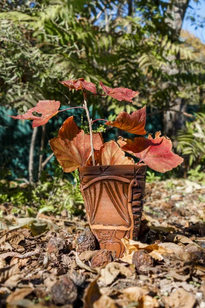 Natura Morta Foglie Autunno Vaso Ceramica — Foto Stock