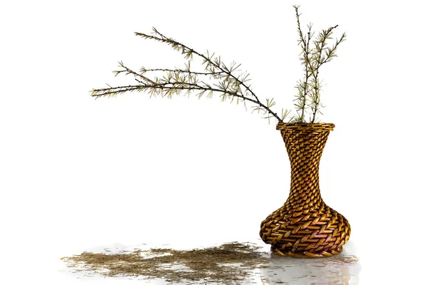 Trockene Herbstzweige Einer Lärche Einer Vase Aus Bambus — Stockfoto