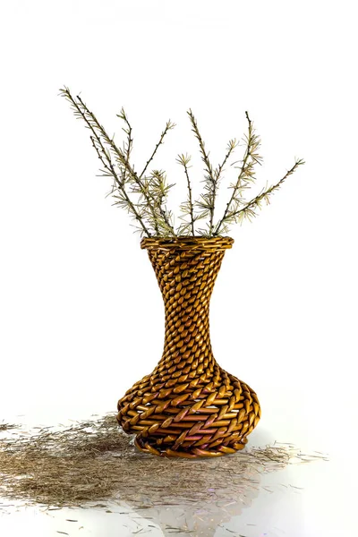 Dry Autumn Branches Larch Vase Bamboo — Stock Photo, Image