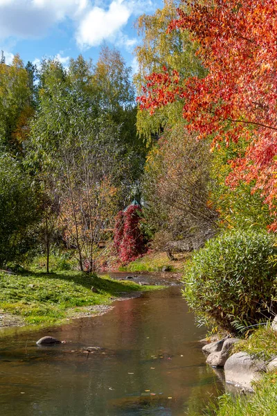 Herbstliche Landschaft Fluss Belokurikha Altai Russland — Stockfoto