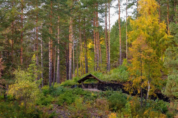 Rusya Nın Altai Bölgesindeki Sonbahar Çam Ormanında Ahşap Çardak — Stok fotoğraf