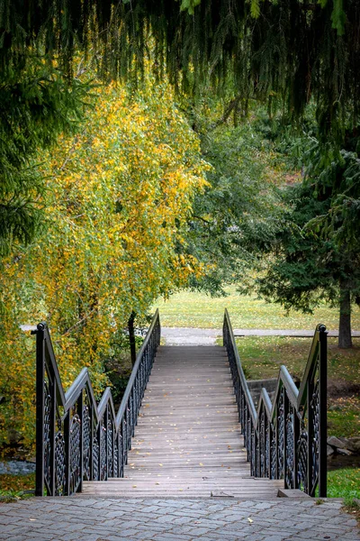 Puente Peatonal Sobre Río Belokurikha Territorio Altai Imagen De Stock