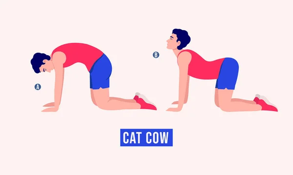 Erkekler Kedi İneği egzersizi yapıyor, Erkekler spor yapıyor, aerobik yapıyor ve egzersiz yapıyor. Vektör İllüstrasyonu.