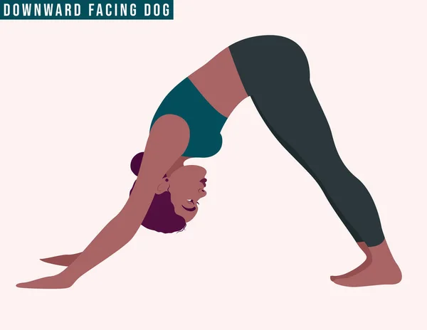 年轻女子朝下练习面对狗 Adho Mukha Svanasana瑜伽姿势 女人锻炼身体 有氧和运动 病媒图解 — 图库矢量图片