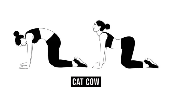 69 Cat Cow Exercise Vector Images Free Royalty Free Cat Cow Exercise Vectors Depositphotos