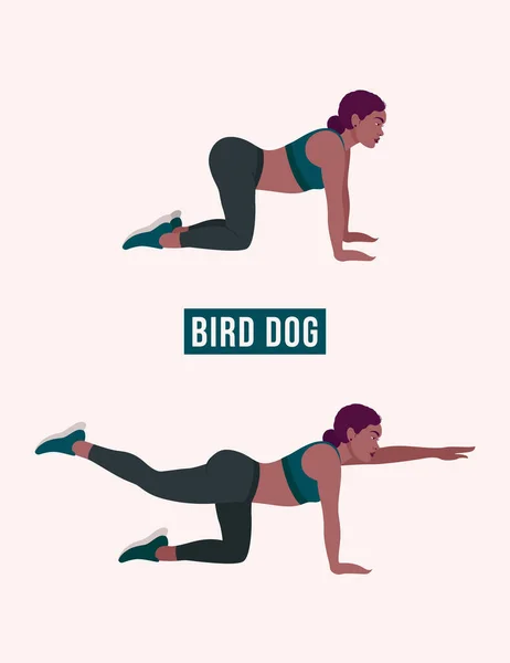 Vogelhundeübung Frauentraining Fitness Aerobic Und Übungen Vektorillustration — Stockvektor