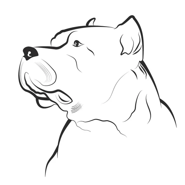 Vectorillustratie Pitbull Een Witte Achtergrond — Stockvector