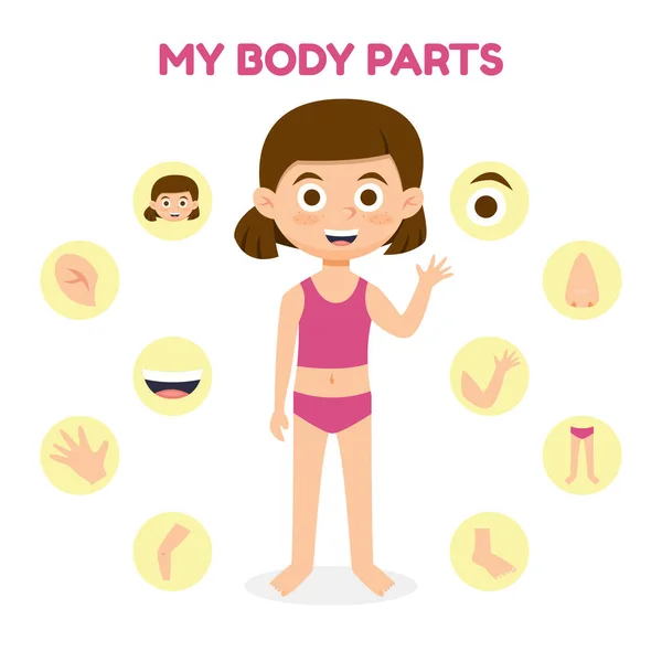 Illustrazione vettoriale di una ragazza con diverse parti del corpo per l'insegnamento. Illustrazione vettoriale stile cartone animato . — Vettoriale Stock