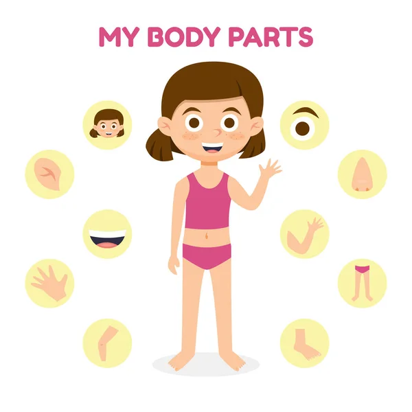 Body Parts Clipart For Kids
