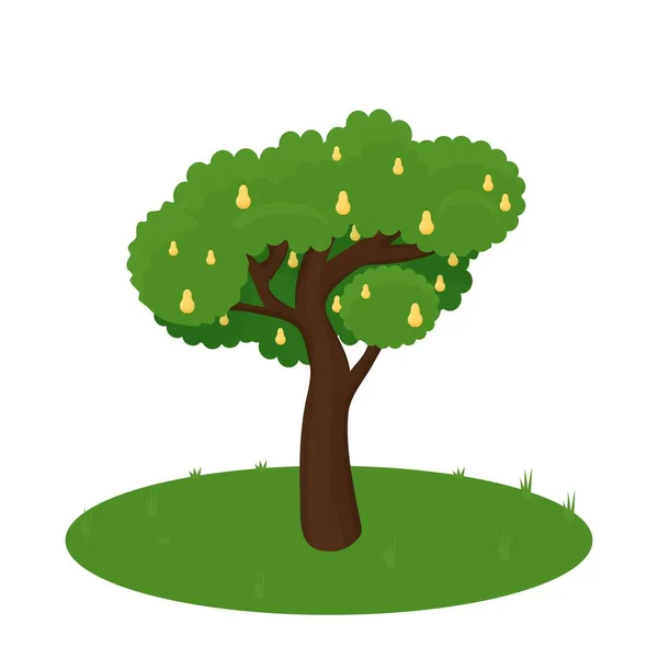 Грушевое Дерево Одноцветное Яркое Зеленое Изолировано Белом Фоне Сбор Урожая — стоковый вектор