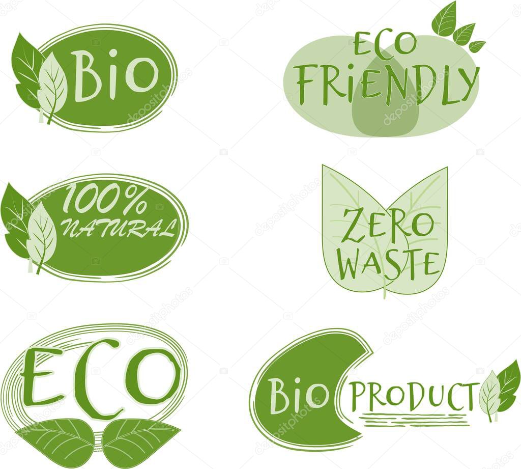 Set of eco labels, tags in green colour with leaves and text different design isolated on white background. 