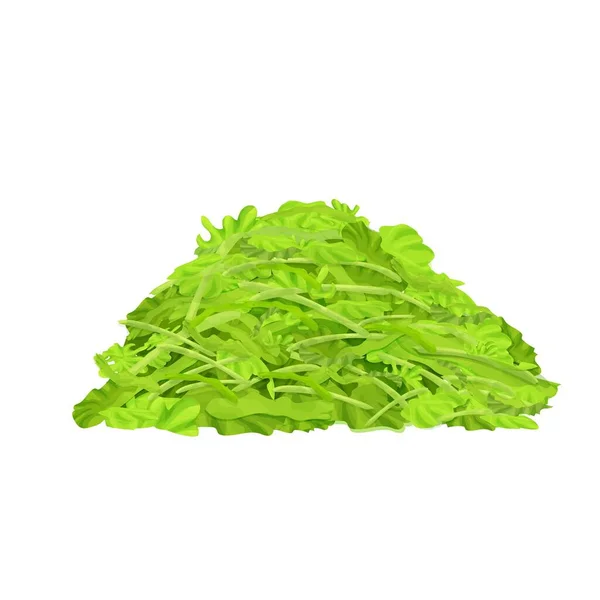 Heller Frischer Salat Klein Gehackt Salatstapel Isoliert Auf Weißem Hintergrund — Stockvektor