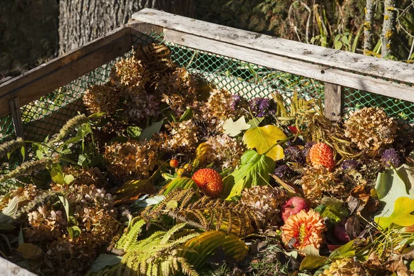 Imagen Del Contenedor Compost Jardín Otoño — Foto de Stock