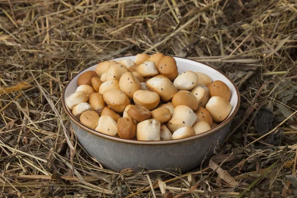 Kiukai También Liikai Plato Tradicional Lituano Servido Kios Tradicional Cena — Foto de Stock