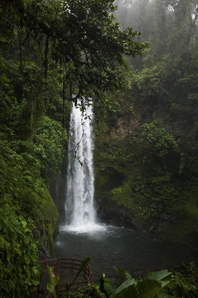 Paz Wodospad Ogród Central Valley Costa Rica — Zdjęcie stockowe