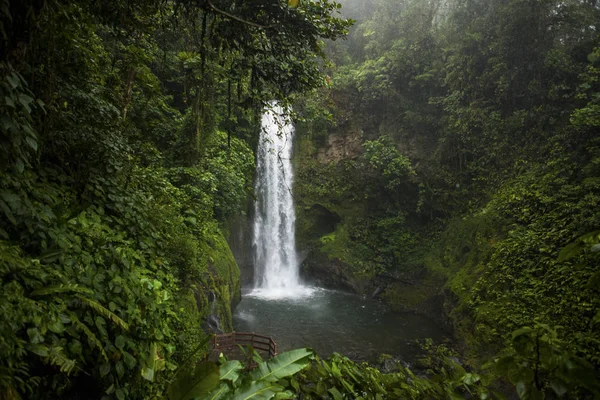 Παζ Κήπο Τον Καταρράκτη Κεντρική Κοιλάδα Κόστα Ρίκα — Φωτογραφία Αρχείου