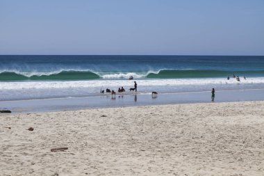 Playa Barrigona, Samara/Kosta Rika - Januar 28, 2019: Guanacaste il kuzeyindeki sahil kasabası Smara, Playa Barrigona içinde. Güzellik, huzur ve macera mükemmel kombinasyonu