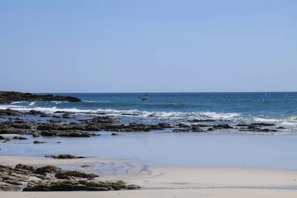 Plaj Kasabası Smara Nın Kuzeyinde Guanacaste Ilinde Playa Barrigona Güzellik — Stok fotoğraf