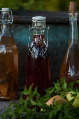 Kombucha farklı aromalı ikinci fermente meyve çayı. Sağlıklı probiyotik aromalı içecek.