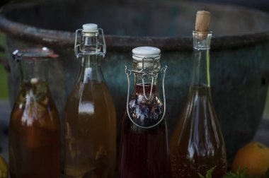 Kombucha farklı aromalı ikinci fermente meyve çayı. Sağlıklı probiyotik aromalı içecek.