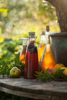 Kombucha farklı aromalı ikinci fermente meyve çayı. Sağlıklı probiyotik aromalı içecek.