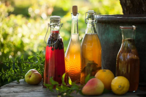 Kombucha Farklı Aromalı Ikinci Fermente Meyve Çayı Sağlıklı Probiyotik Aromalı Stok Resim