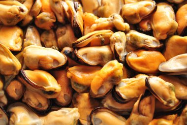 Arka plan pişirilmiş midye 