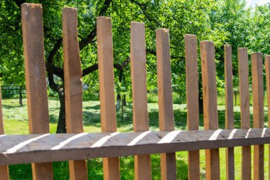 Yeşil çimleri ve ağaçları olan ahşap çitler.
