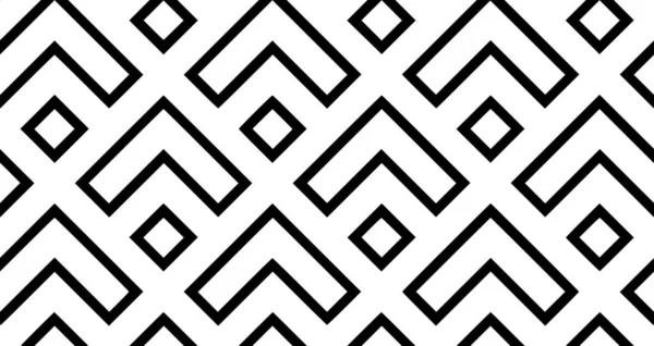 Stylish Lines Lattice Ethnic Monochrome Texture Background Lattice Black Seamless — Stock Photo, Image