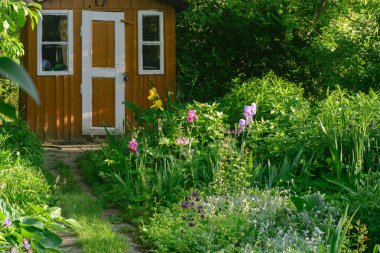 Yazlık bahçesinde Bahar çiçekleri