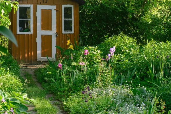 Yazlık bahçesinde Bahar çiçekleri