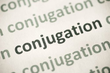 beyaz kağıt makro üzerinde basılı kelime conjugaion