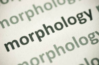 beyaz kağıt makro üzerinde basılı kelime morfology