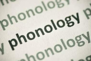 beyaz kağıt makro üzerinde basılı kelime ses bilimi