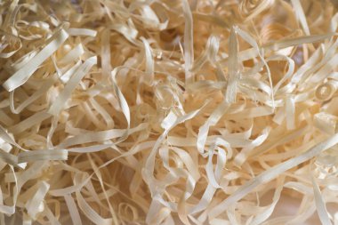 portre için altın talaş