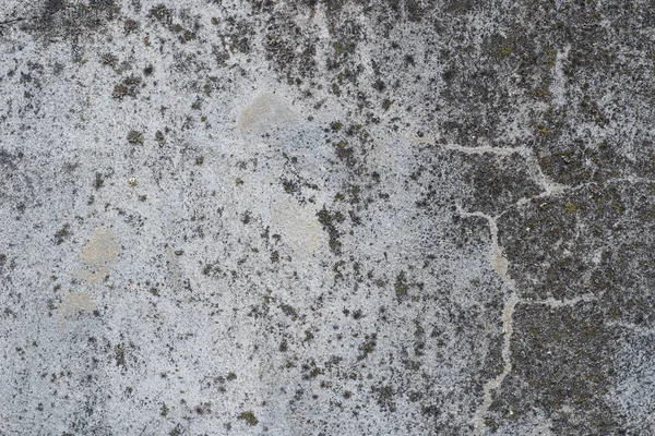 eski gri çimento duvar doku arka plan yıpranmış