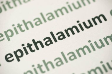 beyaz kağıt makro üzerinde basılı kelime epithalamium