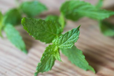 ahşap masa makro'demet taze nane yaprakları